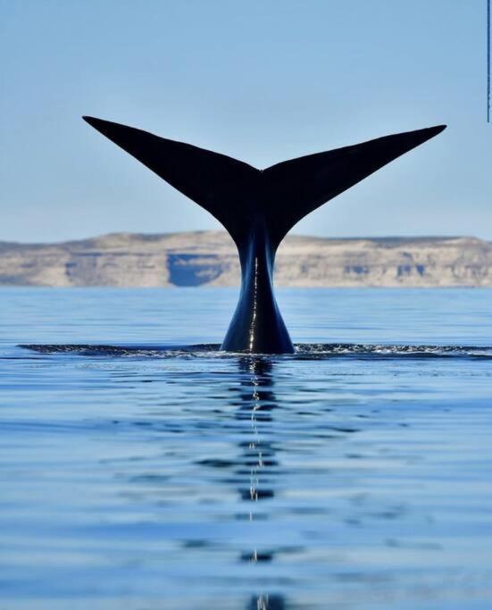 Pequena Casa De Troncos, Detras De Casa Principal No Trabajo Con Tarjeta De Credito Puerto Madryn Dış mekan fotoğraf