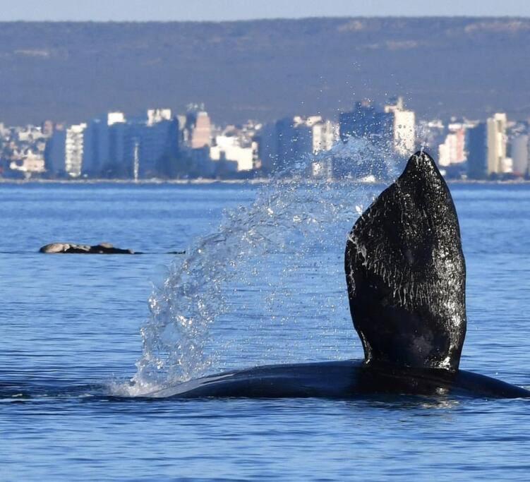 Pequena Casa De Troncos, Detras De Casa Principal No Trabajo Con Tarjeta De Credito Puerto Madryn Dış mekan fotoğraf